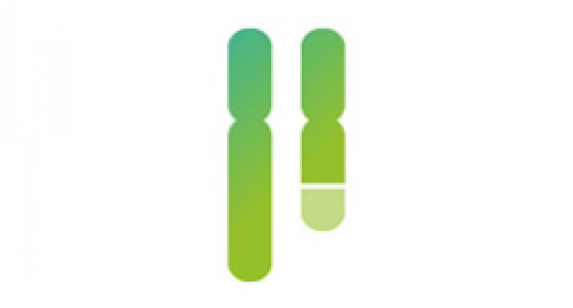 Preimplantation Genetic Testing for Chromosomal Structural Rearrangements